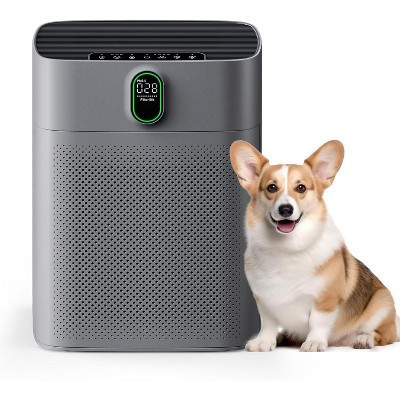 HEATDAZ HEPA Air Purifier for Home Large Room - Perfect Christmas Gift, Double-sided Air Inlet Technology, Dark Grey Air Purifier for Holiday Wellness | Target