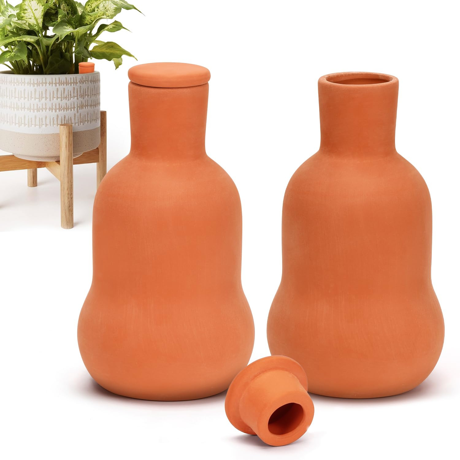 Terracotta Watering Pots with Lid, Set of 2 Slow Release Terra Cotta Self Watering Globes, Clay R... | Amazon (US)