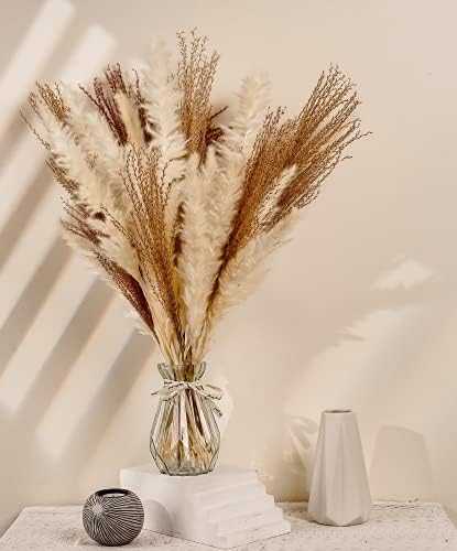 Brentley Natural Dried Pampas Grass large 40pcs 65cm Home Decor Stems (15 White, 15 Cream, 10 Reed)  | Amazon (UK)