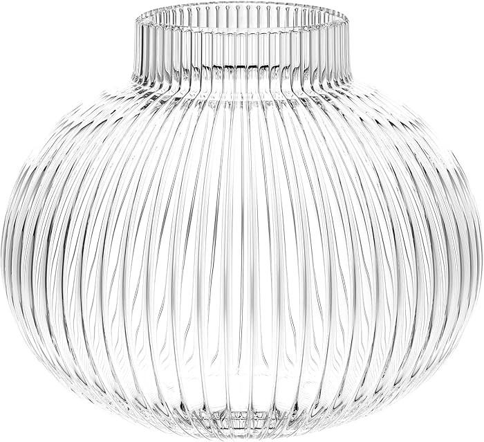 YANWE1 Round Glass Vase, Flower Vases for Bouquet, Ribbed Glass Vases for Flowers, Small Clear Va... | Amazon (US)