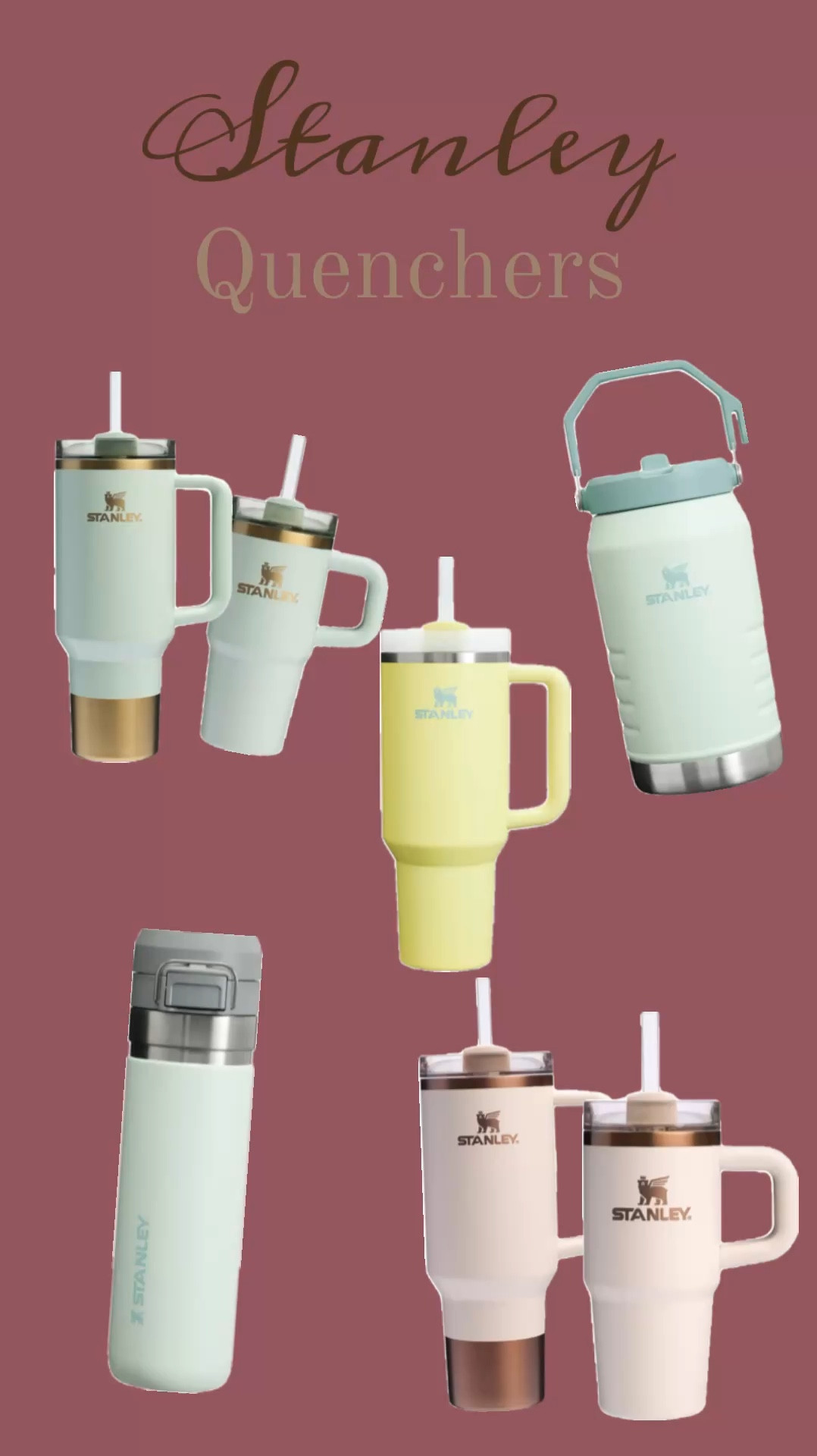 The quick flip water bottle is my go to when working weddings and going to the gym! I always have a quencher on me! They help me stay hydrated during the day! I also love that Stanley came out with the Samesies Sets! They are so cute! 🥰 

#LTKGiftGuide #LTKActive #LTKKids