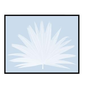 Fan Palm | Urban Garden Prints