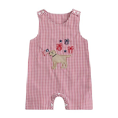 DNOMAID YZARC 4th of July Baby Boy Outfit Flag Dog Embroidery Romper Plaid Sleeveless Jumpsuit One Piece Memorial Day Clothes (Red, 12-18 Months) | Amazon (US)