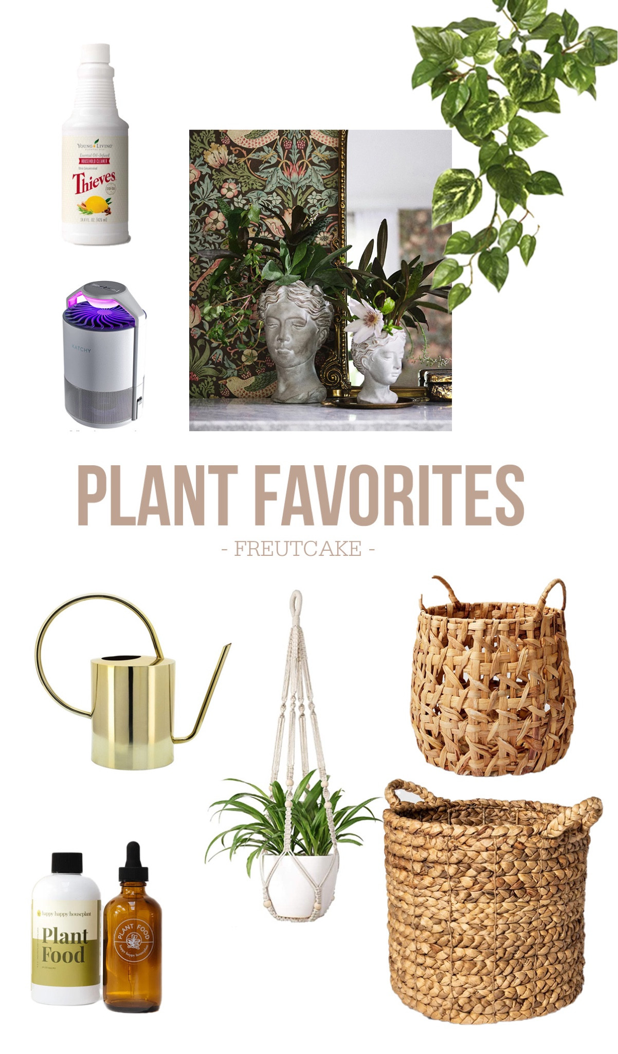 My plant favorites! 

#LTKhome