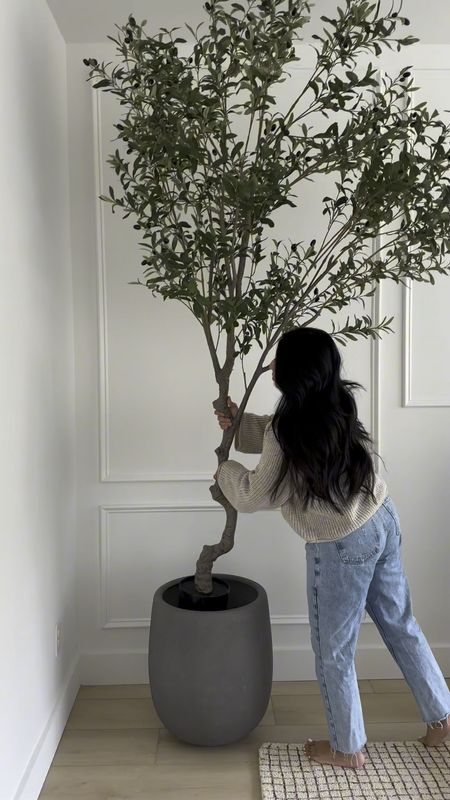 Amazon Olive Tree!

#LTKfindsunder100 #LTKhome #LTKVideo