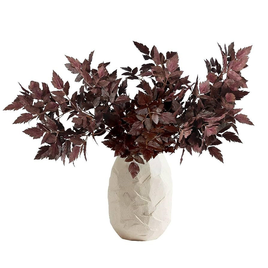 WBHome 6 Pack Artificial Cimicifuga Plant Leaf Spray Faux Plum Cimicifuga Ramosa Leaf Branch (24 ... | Amazon (US)