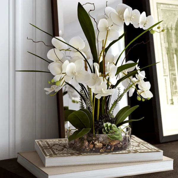 Phalaenopsis Orchid with Succulents Floral Arrangement in Pot | Wayfair North America