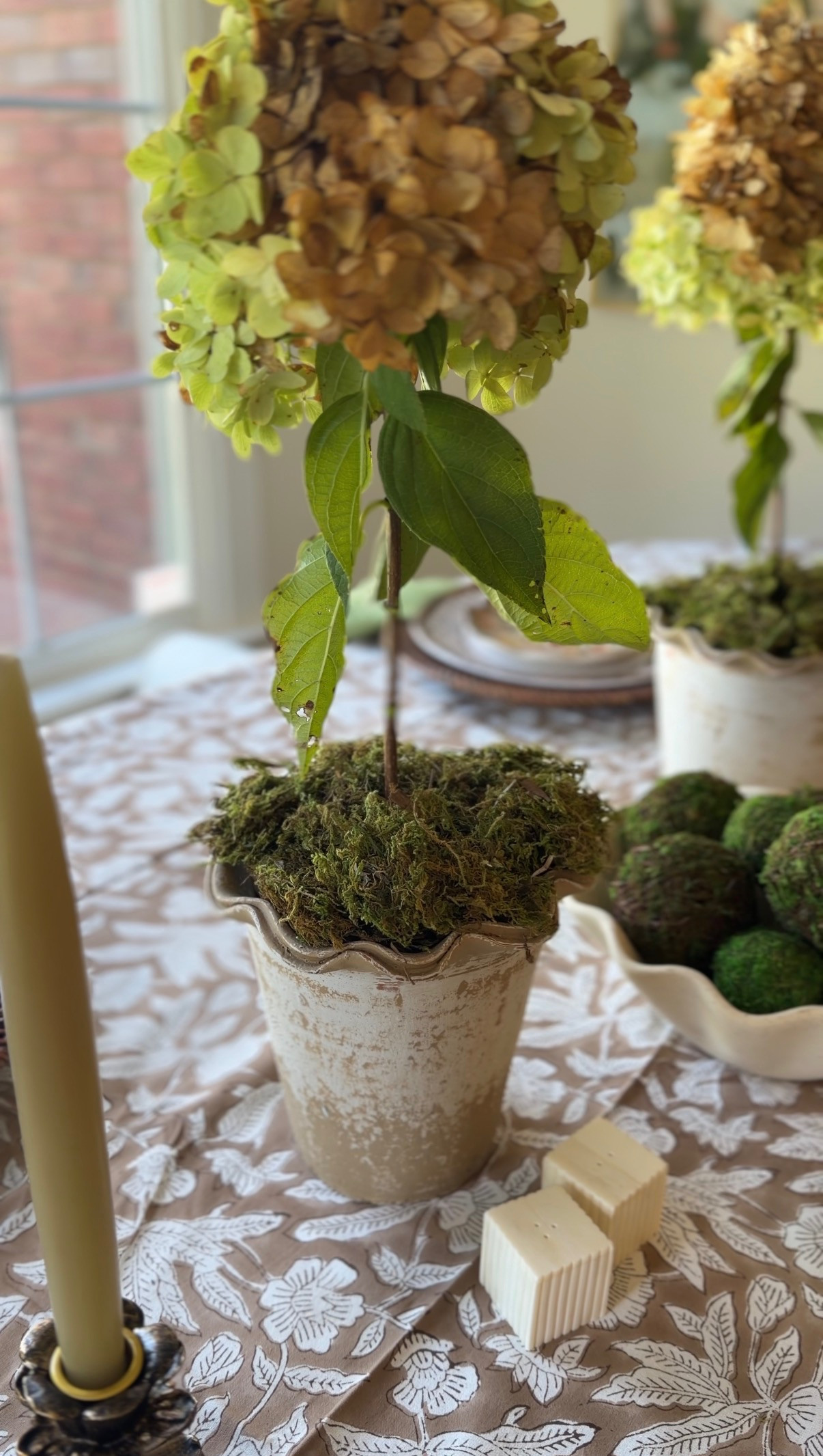 The perfect centerpiece for my Fall tablescape! I cut my own limelights but Amazon & Wayfair have great faux selections too!

#TheSouthernSource #Fall #Tablescape #Florals 

 #LTKdayinmylife #LTKSeasonal #LTKHome