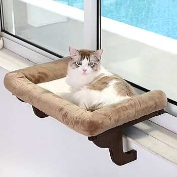 Zakkart Cat Perch for Window Sill with Bolster - Orthopedic Hammock Design with Premium Hardwood ... | Amazon (US)
