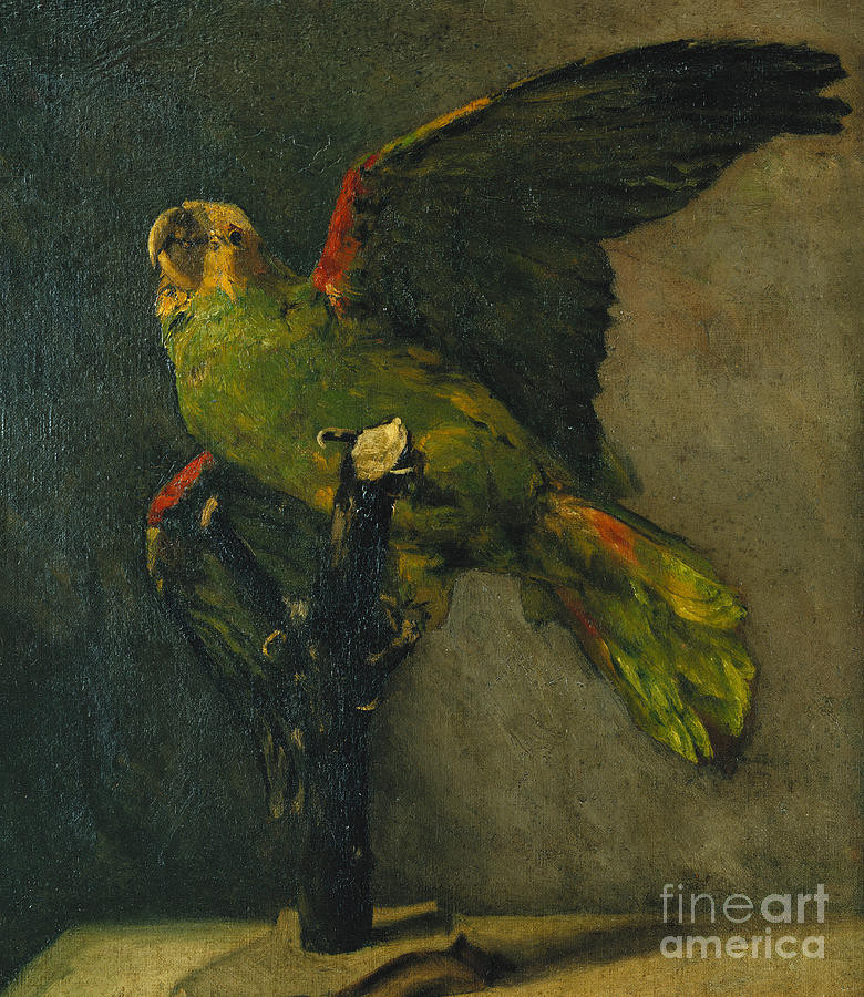 The Green Parrot | Fine Art America