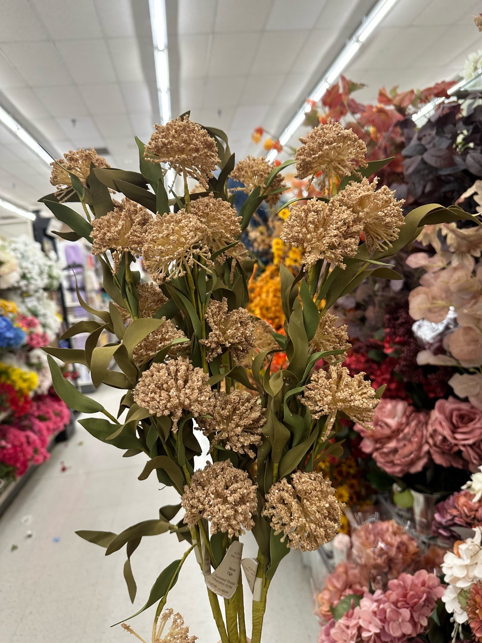 I own these and love them! Fall stems from Michael’s ! Look great in any space

#LTKSeasonal #LTKSaleAlert #LTKHome