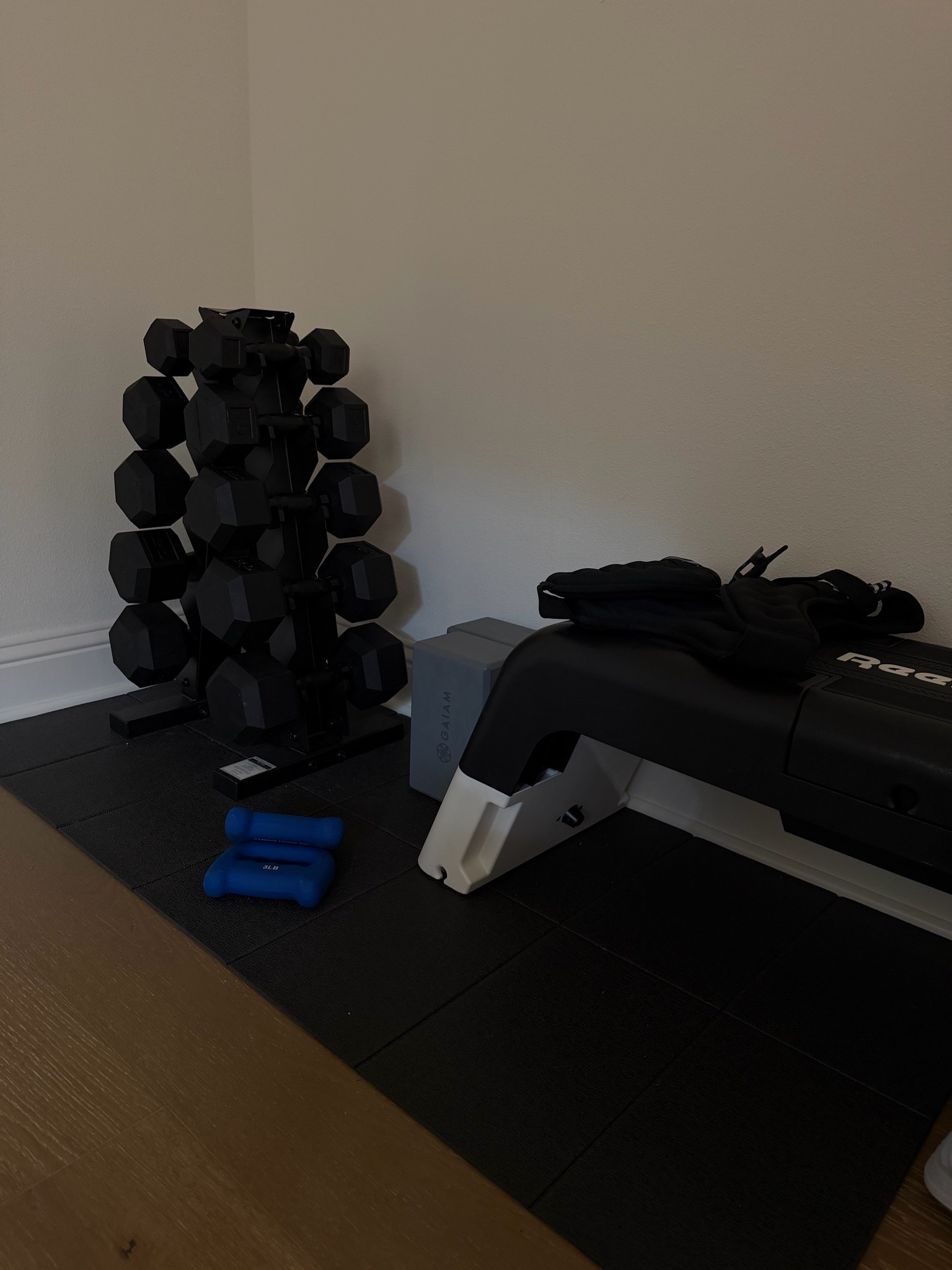 home gym!! amazon prime day



weight set, workout bench, yoga mat, yoga block, garage gym, weight rack

#LTKActive #LTKfitnessgoals #LTKSaleAlert