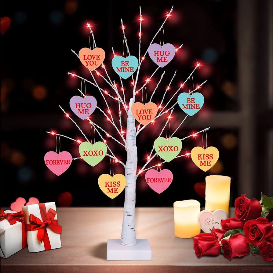 [Timer] Valentines Day Decoration 24 Inch Valentines Decor Tree Light with 12 Heart Ornaments, US... | Amazon (US)