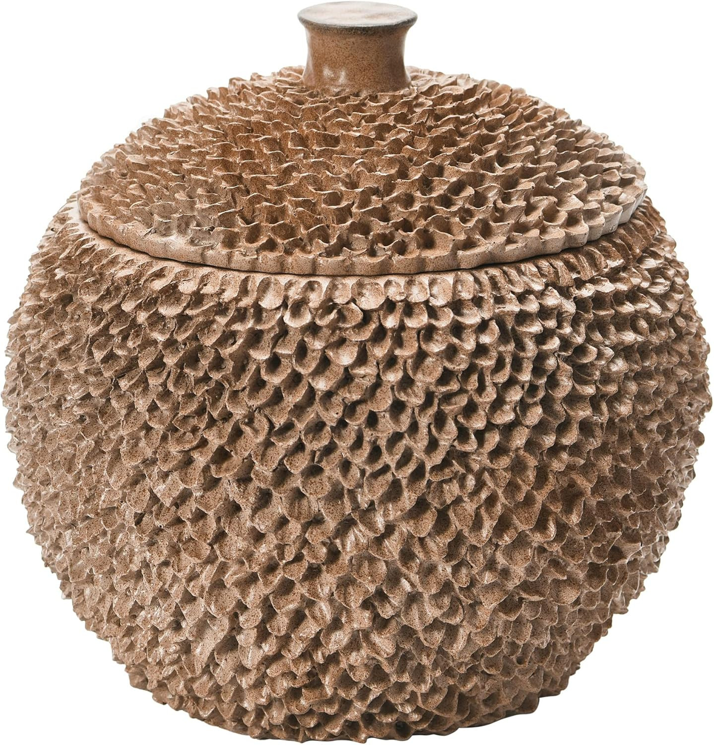 Creative Co-Op Boho Round Resin Lid Container, Brown | Amazon (US)