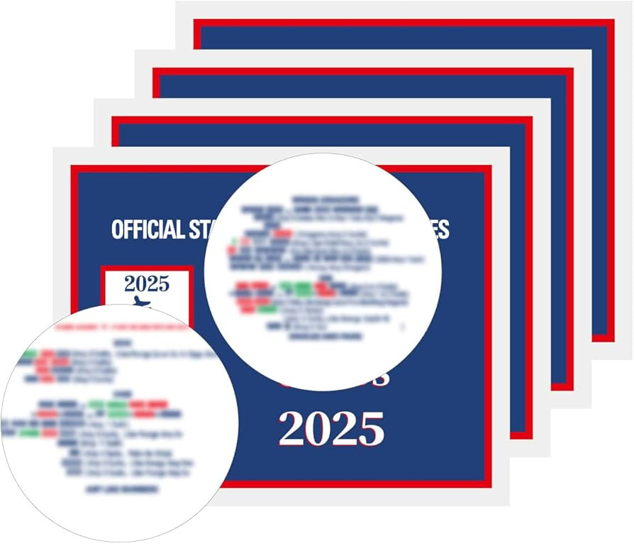 Mahjong Cards 2025, 4pcs Official Revision- Large Print, Easy-to-Read - American Mah Jongg Rule C... | Amazon (US)