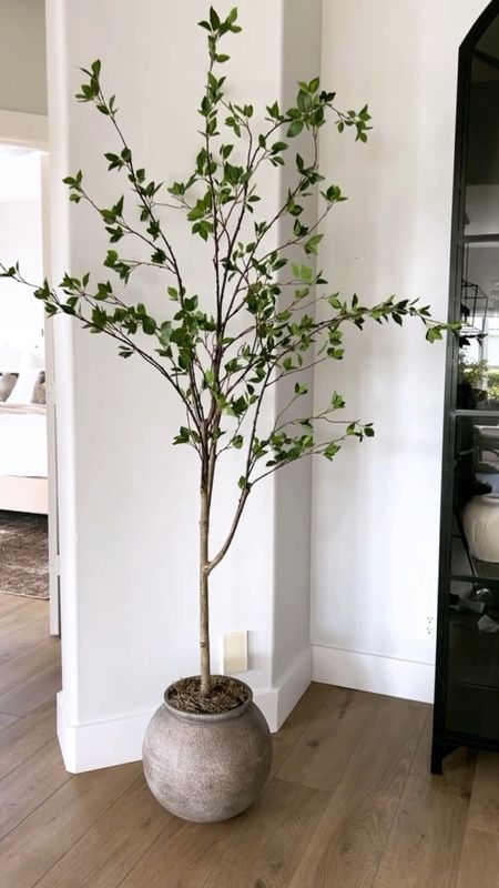 This faux citrus tree from Nearly Natural is 30% off with code ROSE
The Target basket and planter are both in stock too!

Faux tree, faux plants, artificial plant, wicker basket, planter

#LTKFind #LTKhome #LTKsalealert