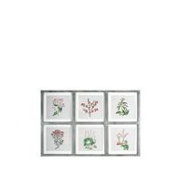 ARTHOUSE Botanical Multi Aperture Framed Print | Very (UK)