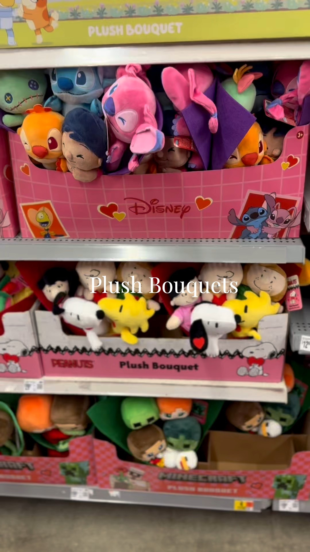 Character Valentine's Day Plush Bouquets 💐 😍

#LTKGiftGuide #LTKKids #LTKSeasonal