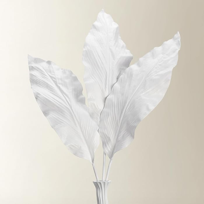 Z Gallerie Canna Leaf Branch - Set of 3 Decorative Artificial Foliage (White) | Amazon (US)