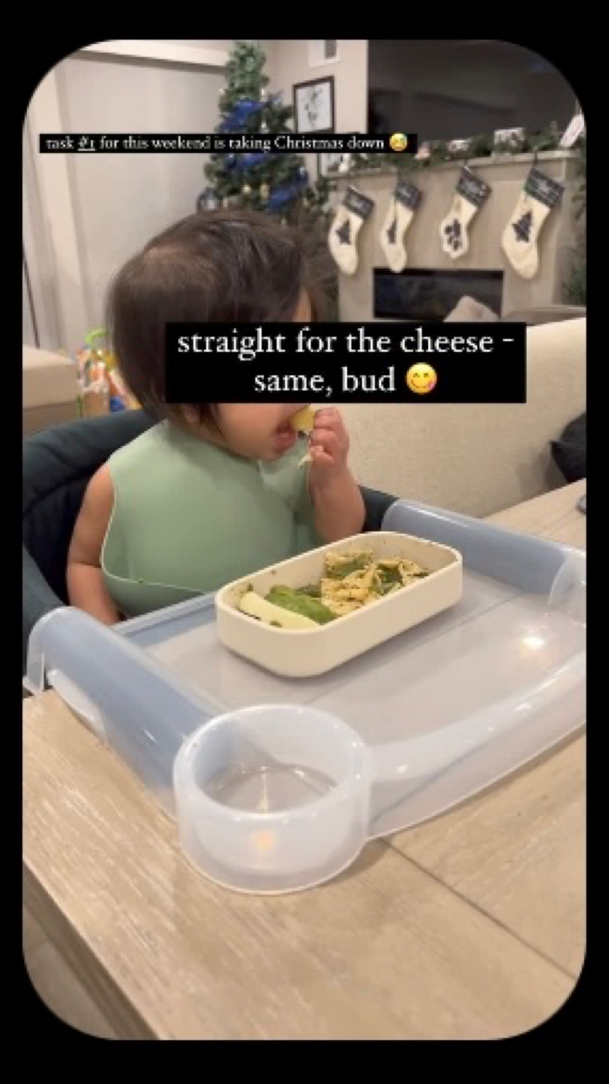 infant high chair, baby high chair, high chair, inglesina, best seller

#LTKfamily #LTKbaby #LTKkids