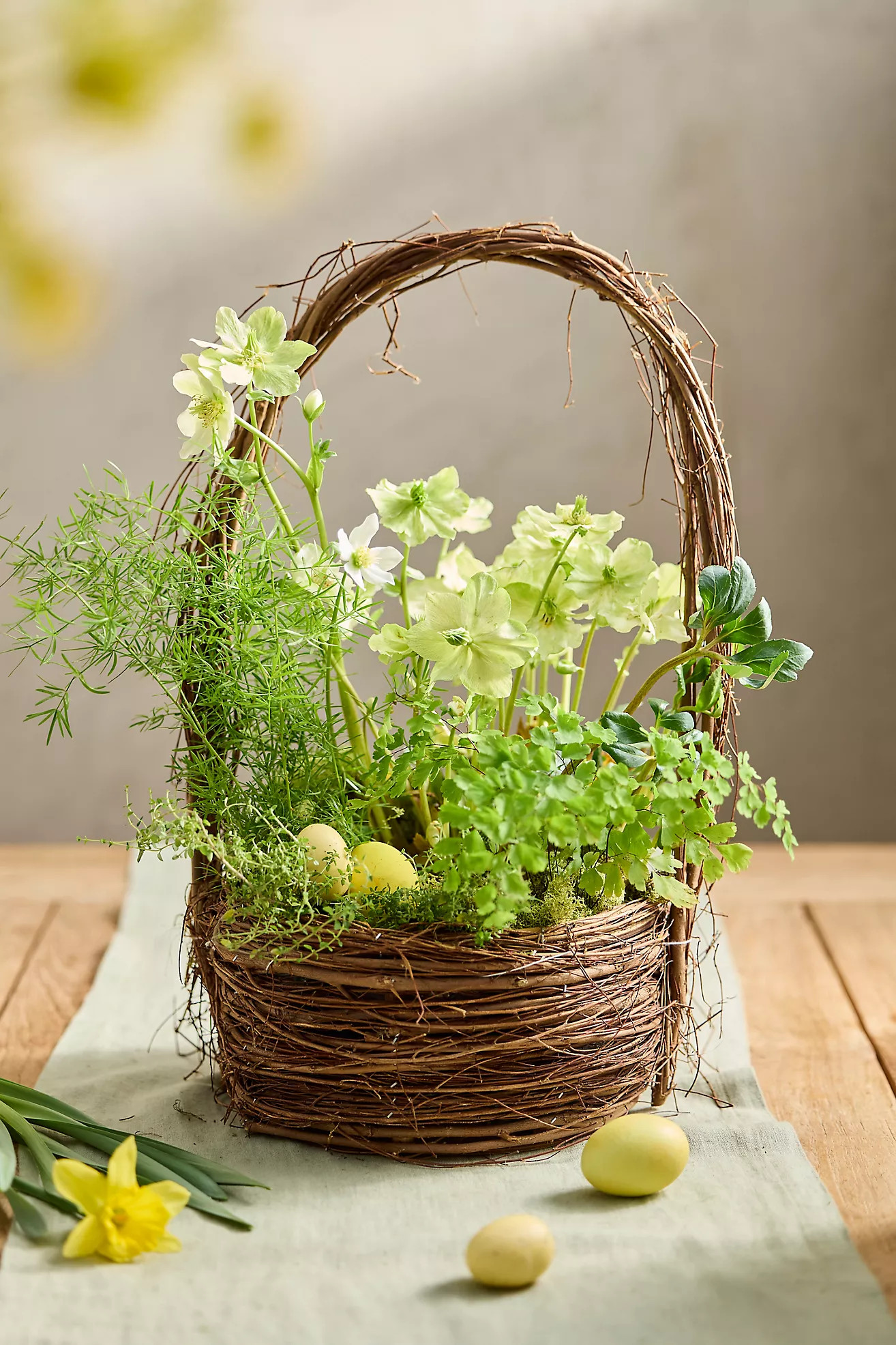 Hoop Handle Basket Planter | Terrain