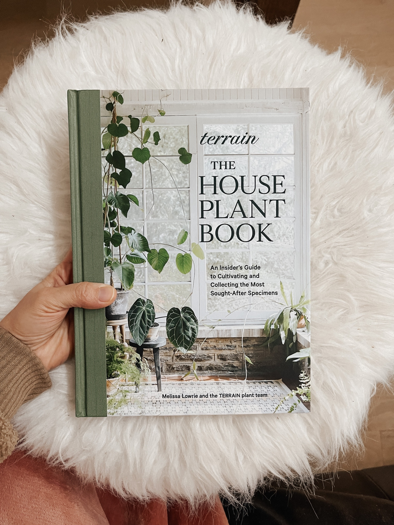 #LTKhome #LTKFind #LTKSeasonal