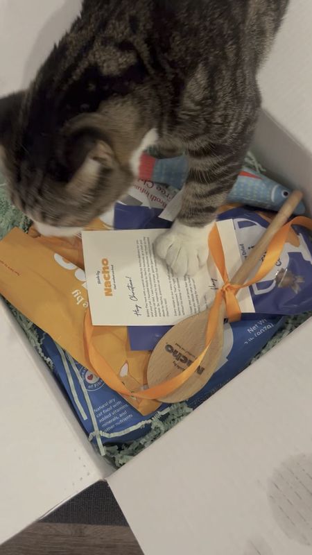Lifelong cat dad, Chef Bobby Flay knows the importance of good food in keeping cats happy and healthy. My cats put Made By Nacho Cat Food to the test! Here’s what they loved: 

#LTKsalealert #LTKhome #LTKfamily