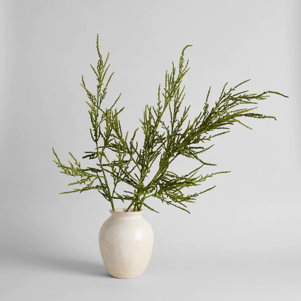 EcoFaux Spiny Amaranthus Stem | Bloomist