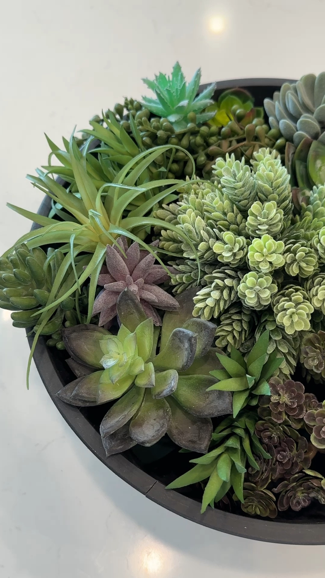 Make this easy Designer inspired succulent bowl with only three products from Amazon! 

#LTKFindsUnder50 #LTKStyleTip #LTKHome
