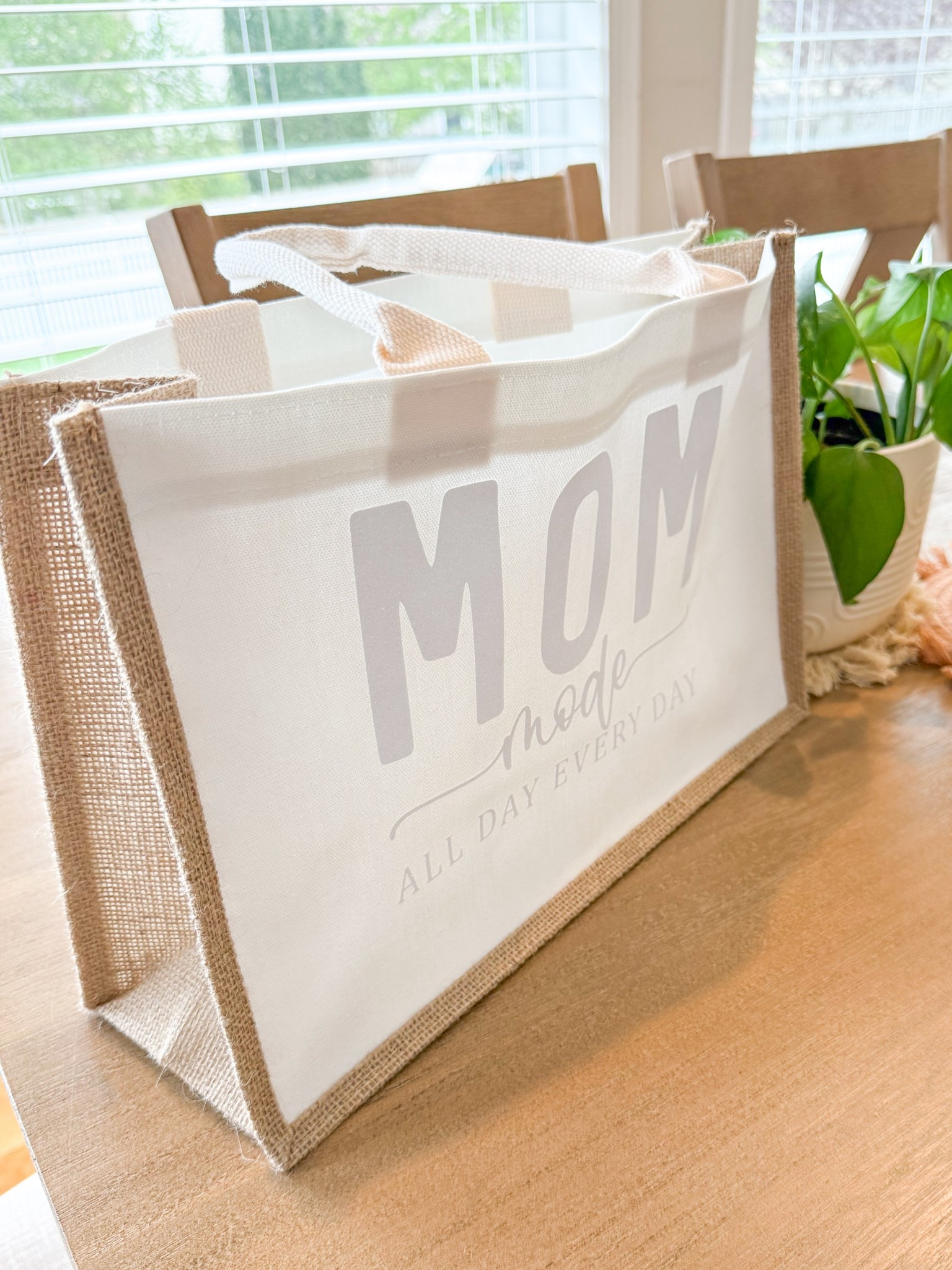 DIY Canvas Tote using a Cricut machine 

#LTKHome