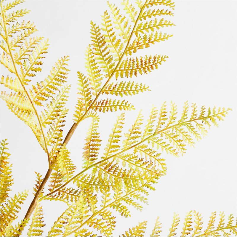 Faux Yellow Fern Stem + Reviews | Crate and Barrel | Crate & Barrel