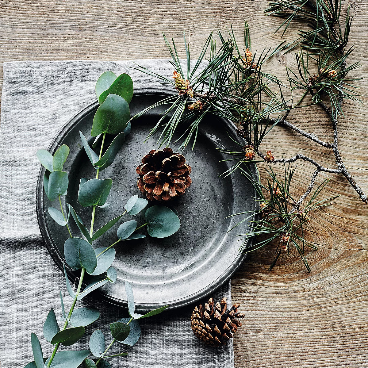 Fir Tree Luxury Signature Candle | The White Company UK & ROW