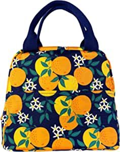 Steel Mill & Co Insulated Lunch Bag, Large Capacity Lunch Tote, Cute Lunch Box for Women, Mini Co... | Amazon (US)
