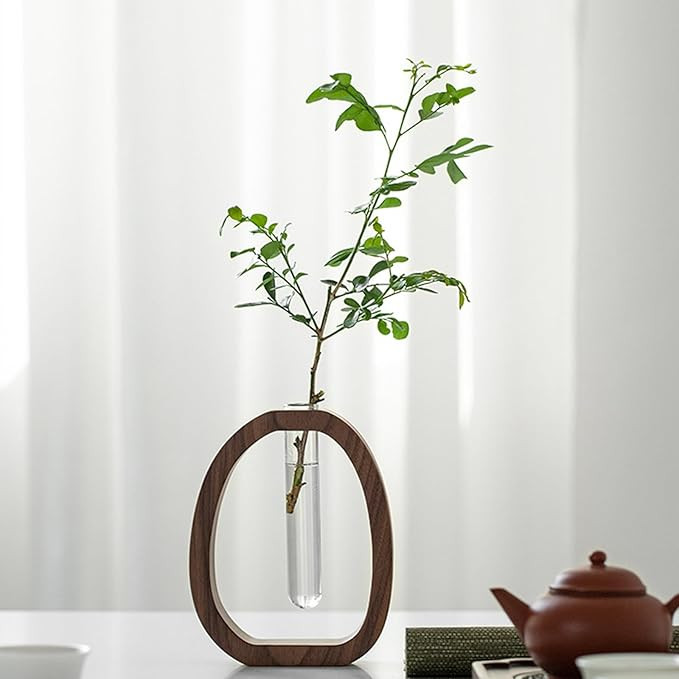 Glass Test Tube Plant Propagation Station Vase with Walnut Wood Frame Plants Vase Holder, Modern ... | Amazon (US)