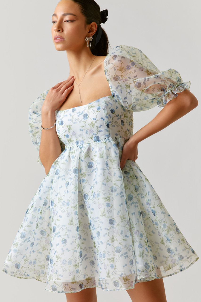 Asha Chiffon Babydoll Mini Dress | Francesca's