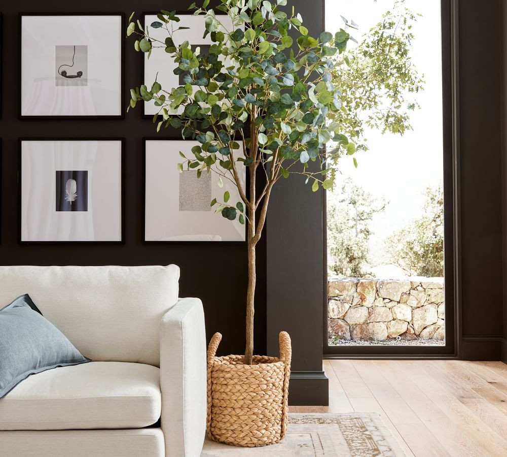 Faux Silver Dollar Eucalyptus Tree - 7' | Pottery Barn (US)