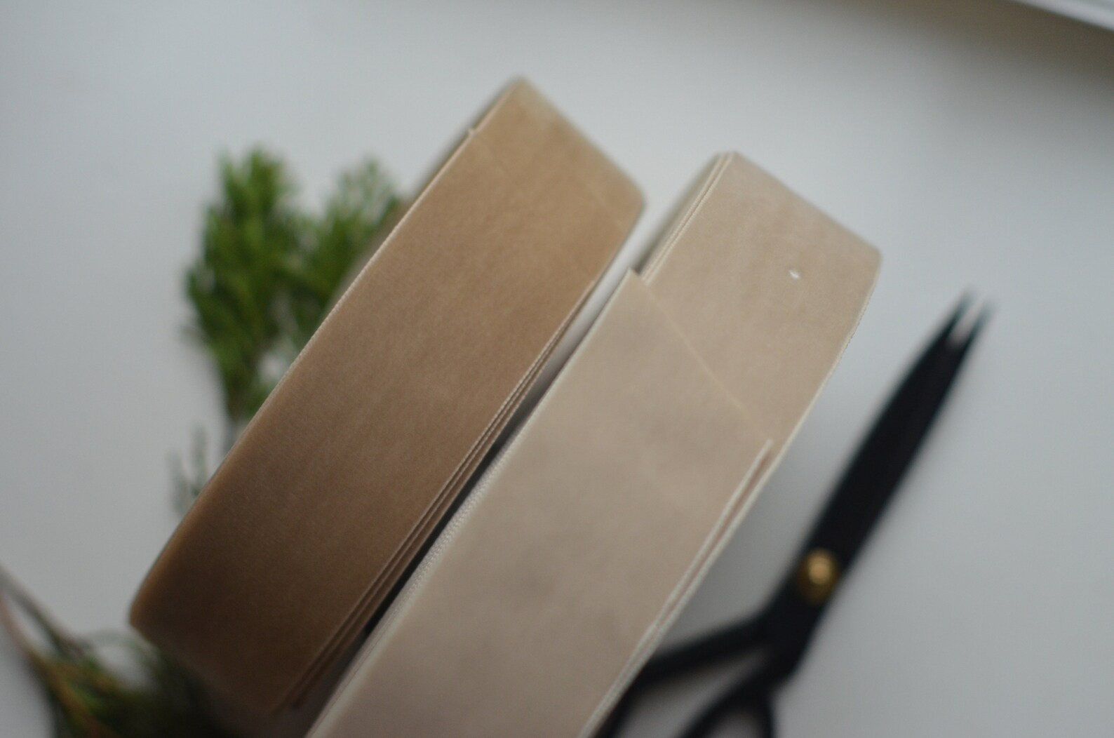 Sand Dollar Beige 2 Wide Swiss Velvet Ribbon - Etsy | Etsy (US)