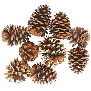 Cinnamon Scented Pinecones by Ashland® | Michaels | Michaels Stores