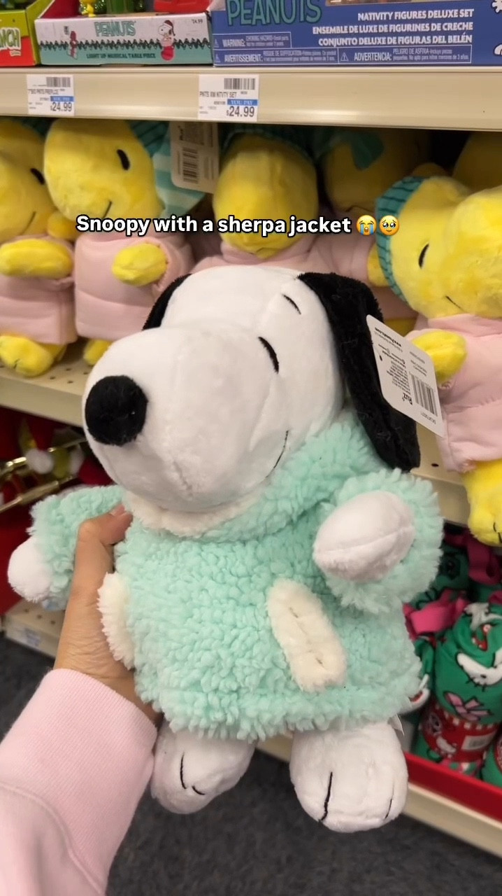Snoopy finds!! The Snoopy and Woodstock plush are both 50% off! 

#snoopy #giftguide #stuffedanimal #plushtoy #toy  #giftidea 

#LTKFamily #LTKGiftGuide #LTKSaleAlert