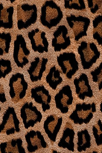 Leopard Print Notebook: Super Cute A5 Animal Print/Leopard Print Notepad/Notes/Diary/Journal/100 ... | Amazon (US)