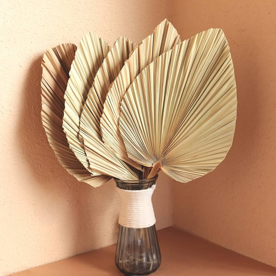 Dried Palm Leaves 5Pcs 18" Large Natural Trimmed Palm Spear Tropical Palm Leaves Fans Boho Weddin... | Amazon (US)