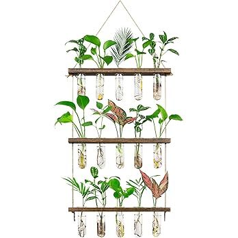 Monsiter QE 3 Tier Large Propagation Stations Wall Hanging Plant Terrarium with Wooden Stand, Ret... | Amazon (US)