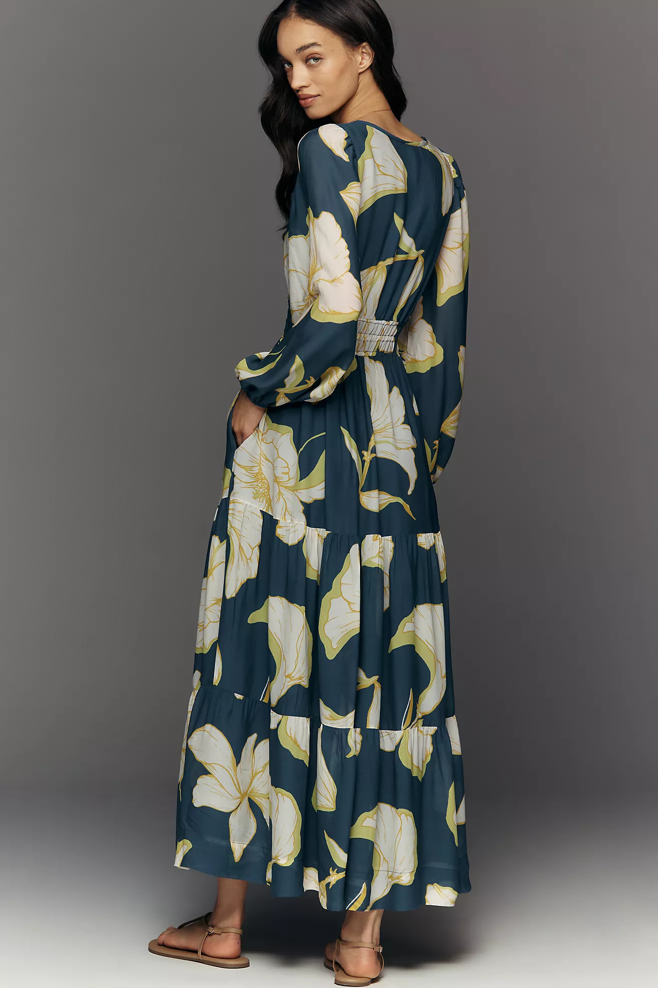 The Somerset Maxi Dress: Long-Sleeve Chiffon Edition | Anthropologie (US)