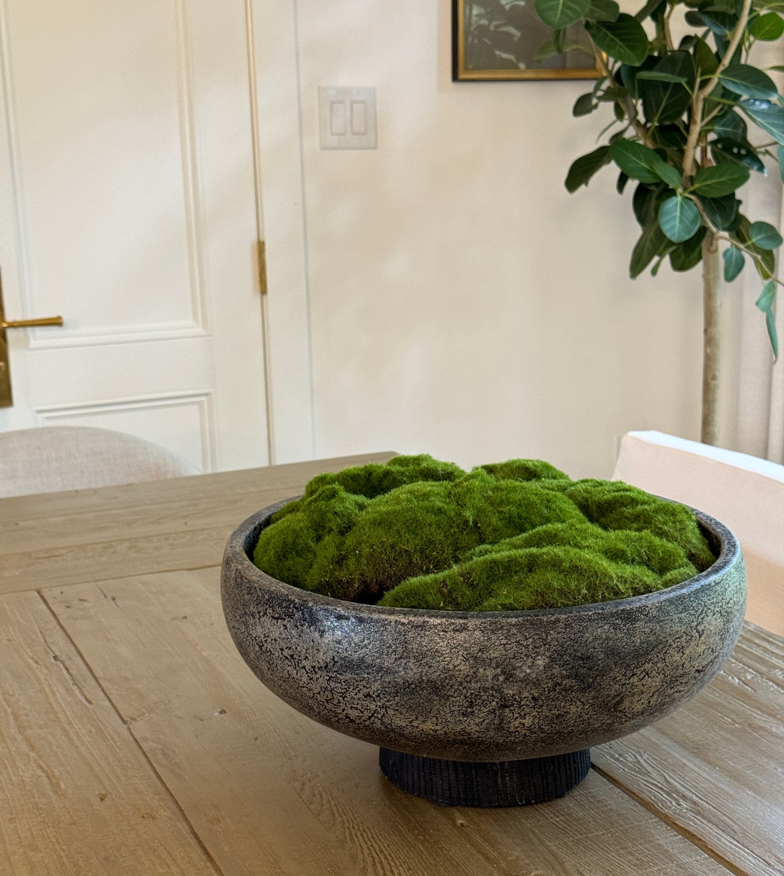 Bowl for moss. 

This moss is amazing! Stays a bright green, you can see a brown natural like dirt under if you pull to separate. I just took from bag and placed in pot over plastic stuffing. Zero effort. 

#LTKHome #LTKFindsUnder100 #LTKOver40