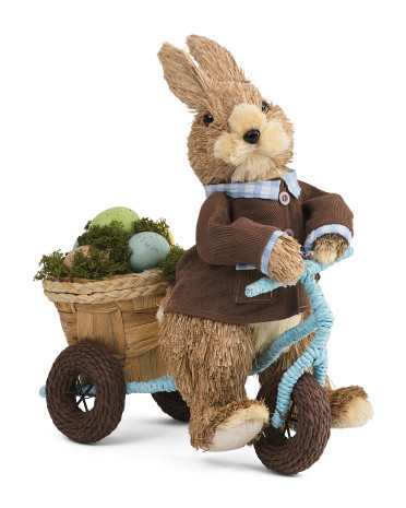 Bunny On Tricycle With Eggs | TJ Maxx