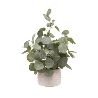 allen + roth 16-in Green Indoor Desktop Eucalyptus Artificial plantItem #5631806 |Model #P1000-LW | Lowe's
