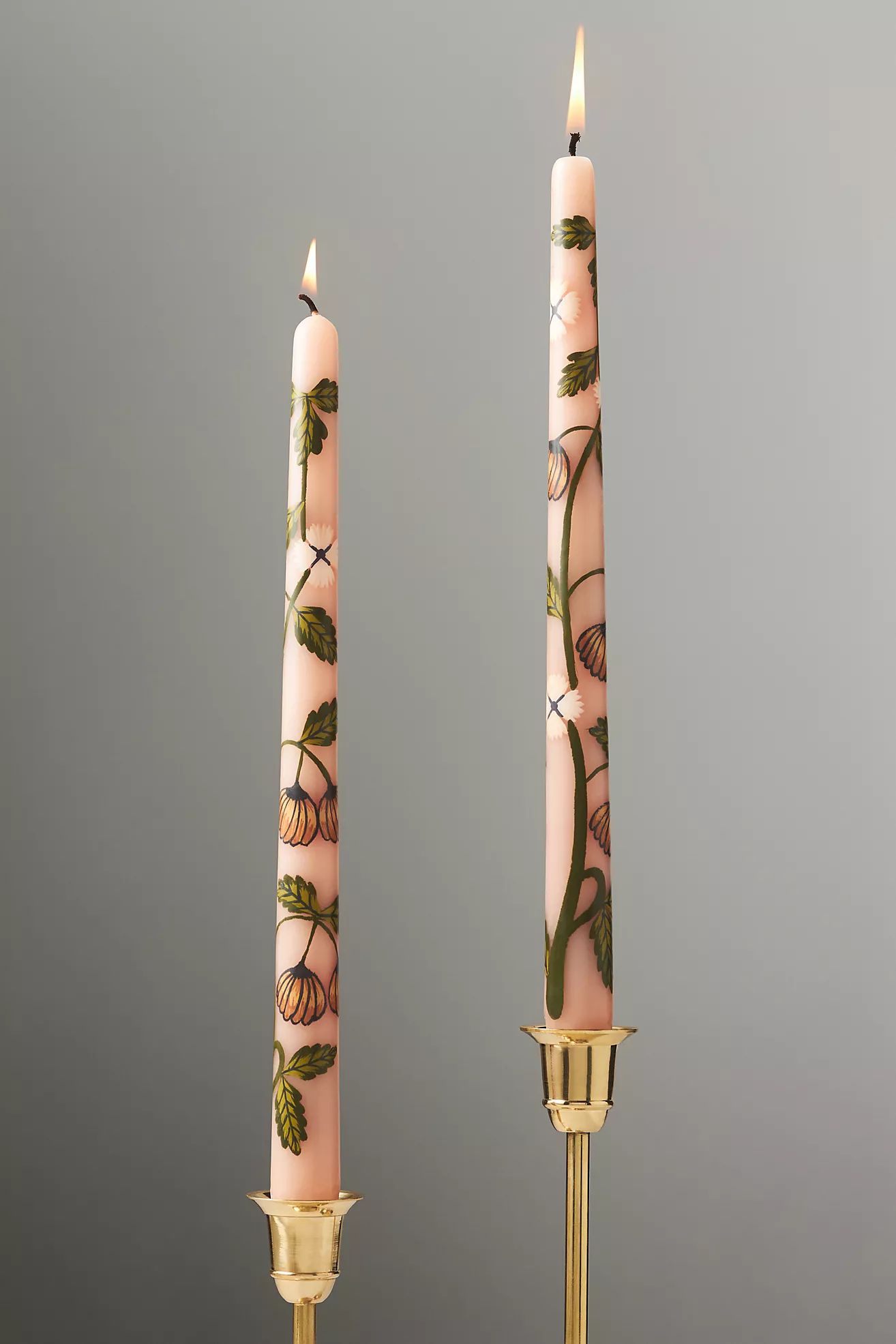 Handpainted Harvest Taper Candles, Set of 2 | Anthropologie (US)