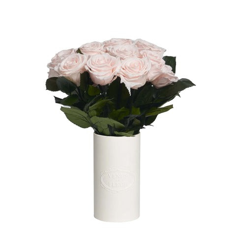 Le Douze | Venus ET Fleur