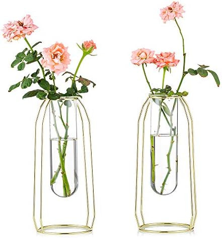 NUPTIO 2 Pcs Flower Vases with Iron Art Frame 23.5cm Height, Geometric Plant Pot, Centerpiece Plant  | Amazon (US)