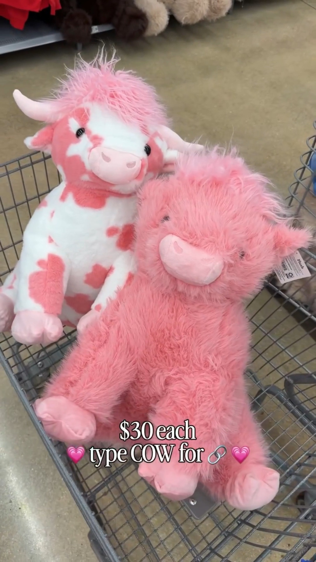 OMG! I was about to walk out when I spotted something pink & white! I gasped and said NO WAY I found them! 
🐮🩷type COW & I’ll send the links! Only available for pick up unfortunately 

#pinkcow #valentinesgifts #highlandcow #longhorn